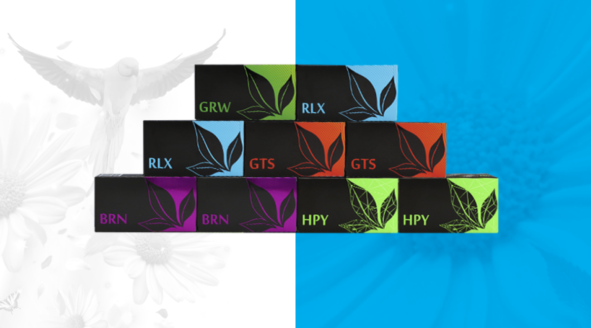 KIT "ENERGY OF NATURE"