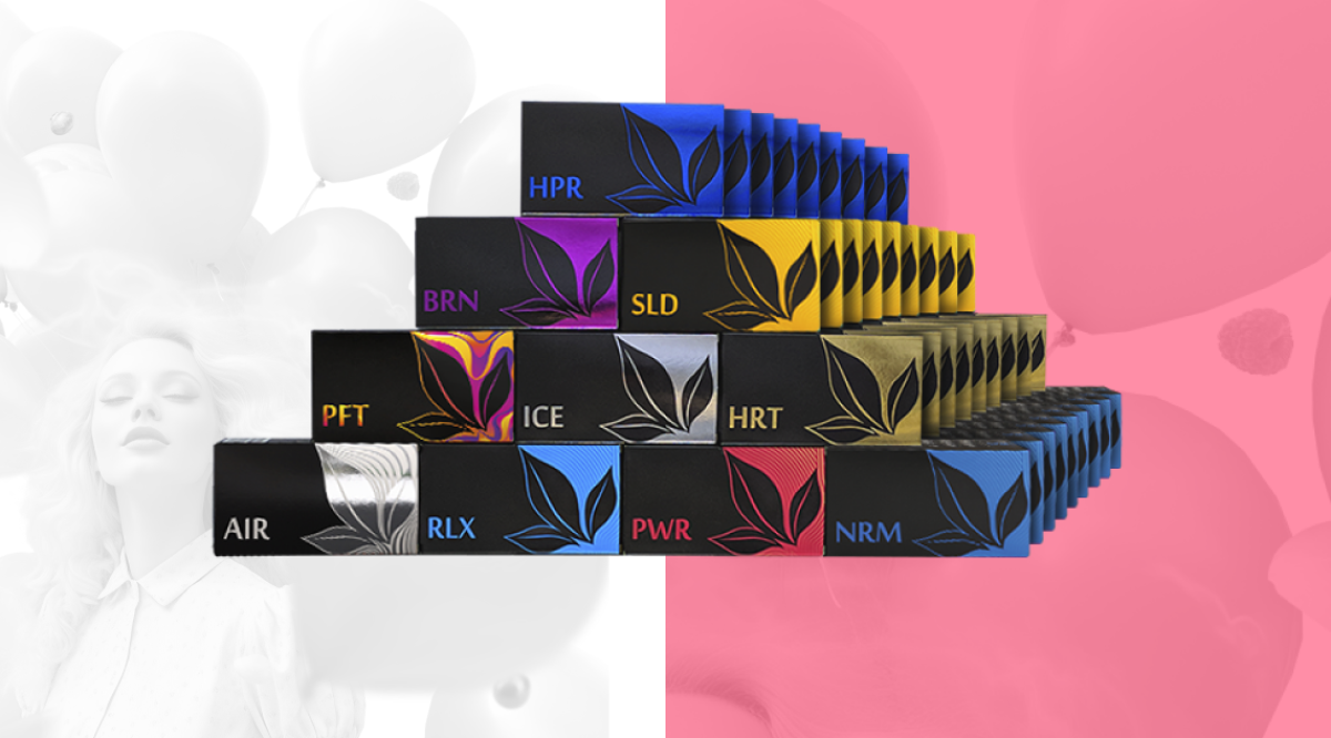 KIT "AMBITIOUS PLANS"