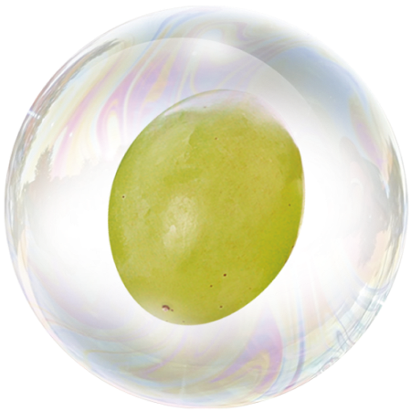 Grape (Vitis vinifera) **